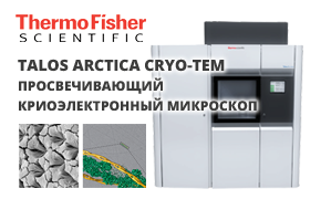 Talos Arctica Thermo Scientific ™ - криоэлектронный микроскоп 