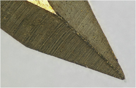 Изображение в цифровом микроскопе